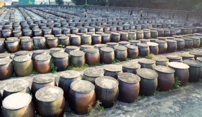 Nước Mắm Cồn Cỏ – Đậm Đà Vị Biển, Tinh Hoa Từ Vùng Đảo Anh Hùng